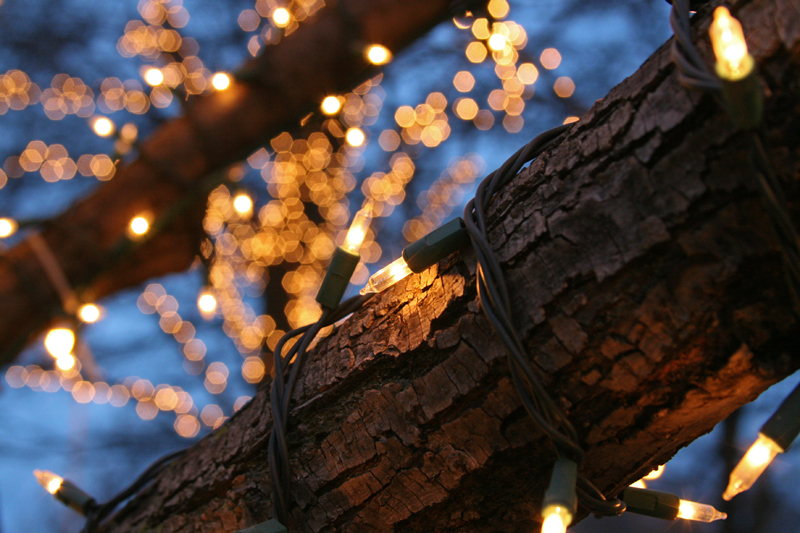 Illustration for article titled Photo Contest: Christmas Lights